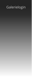 Galerielogin